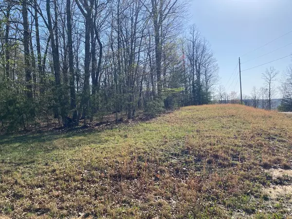 Spencer, TN 38585,291 Mustang Drive