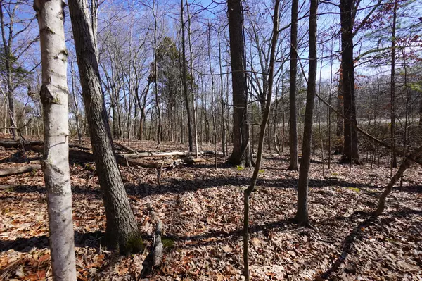 Dover, TN 37058,0 Donelson Pkwy