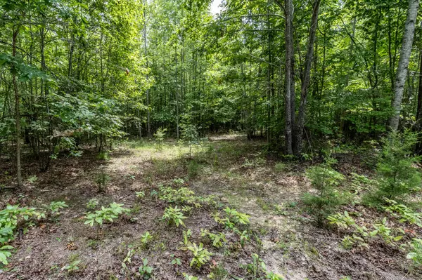 South Pittsburg, TN 37380,1130 Old Harris Turnpike Road