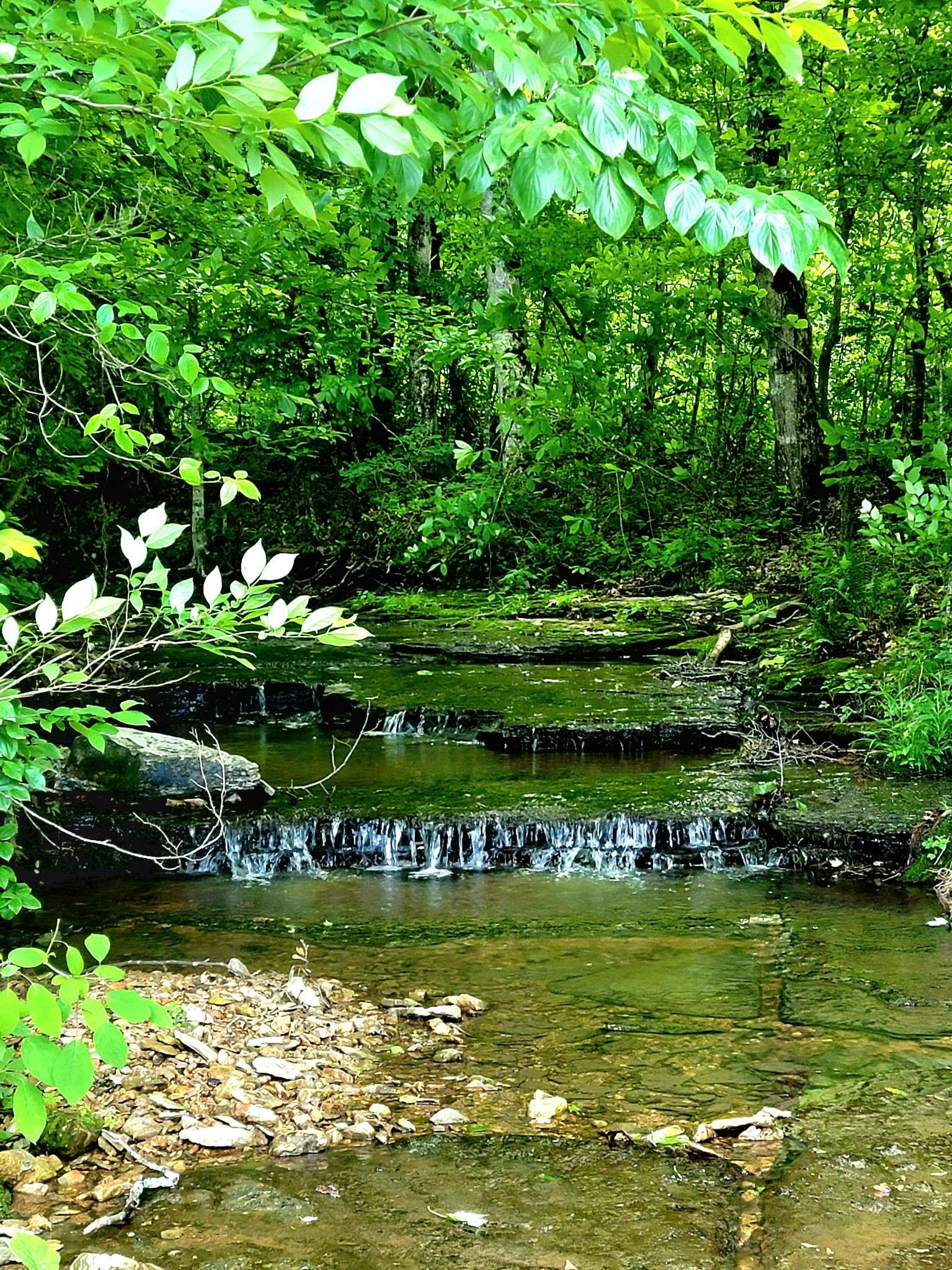 811 Borum Rd, Ashland City, TN 37015