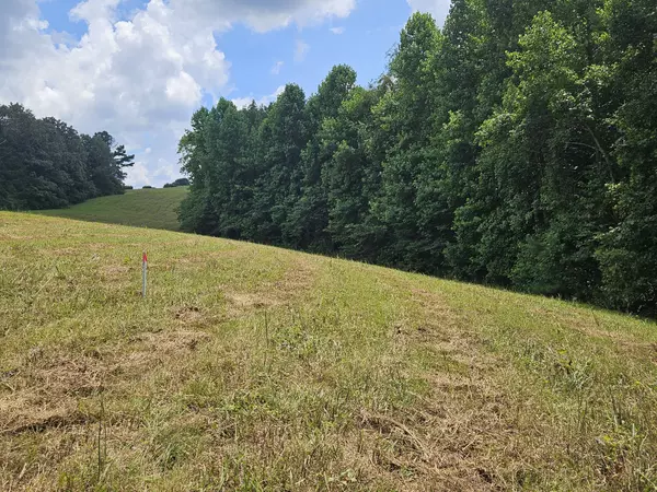 Sparta, TN 38583,0 Young Ridge Rd