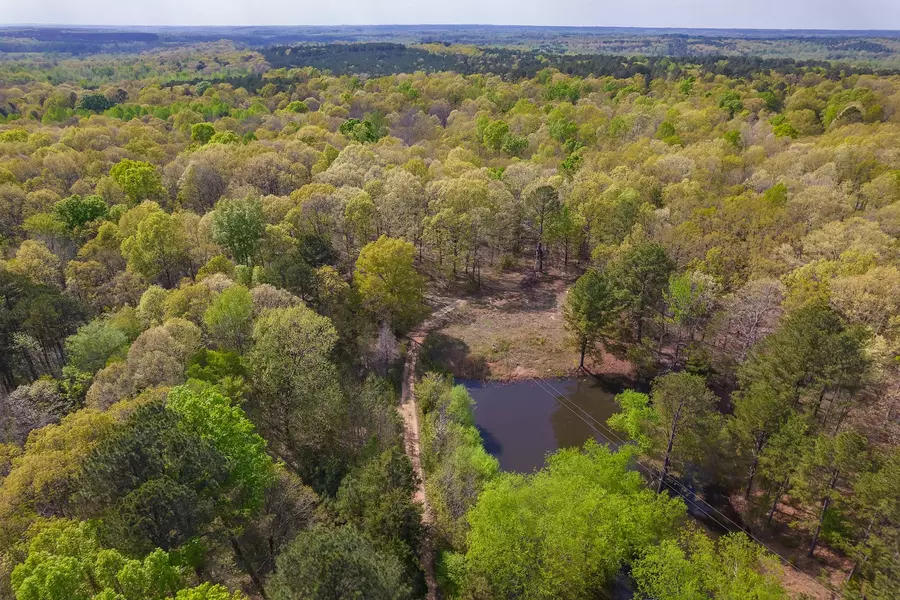 2865 Deanburg Rd, Medon, TN 38356