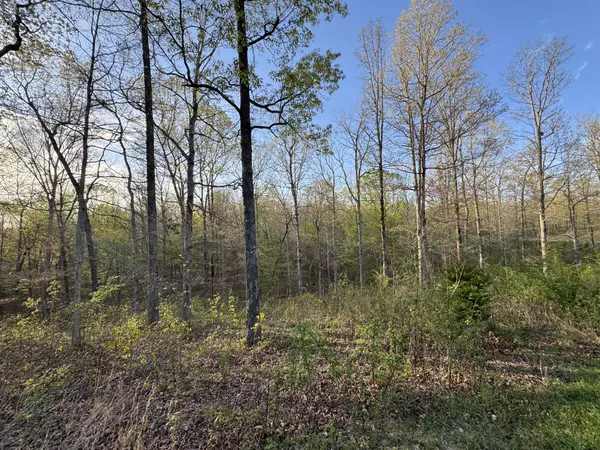 Mc Ewen, TN 37101,0 Ridgewood Drive