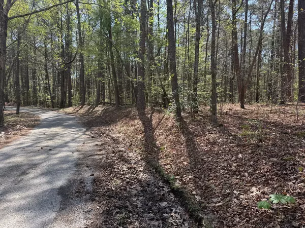 Big Sandy, TN 38221,0 Sandys Camp Road