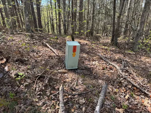 Big Sandy, TN 38221,0 Sandys Camp Road