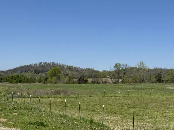 102 Creek Bank Dr, Bethpage, TN 37022