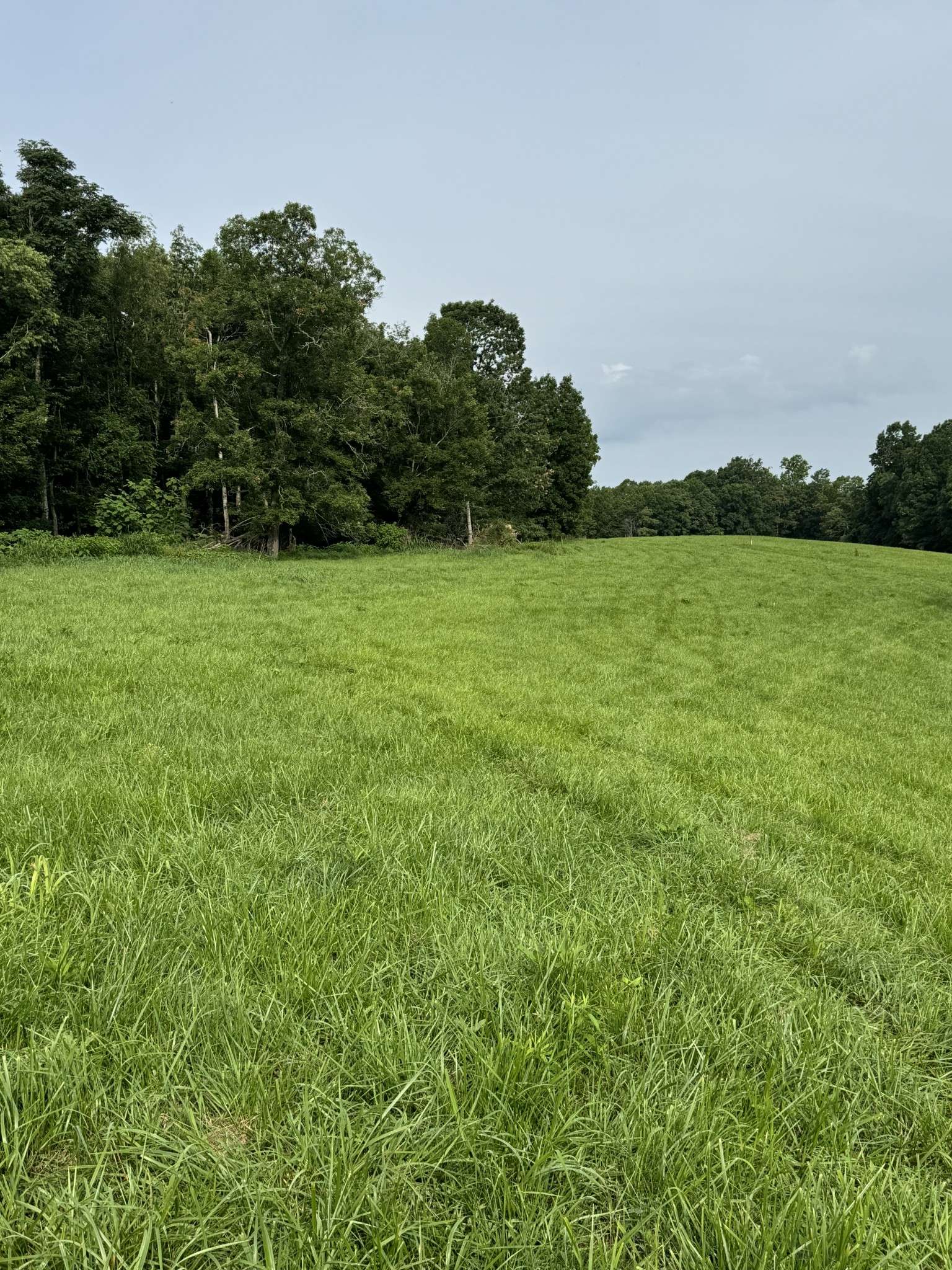 0 Oak Grove Rd, Red Boiling Springs, TN 37150