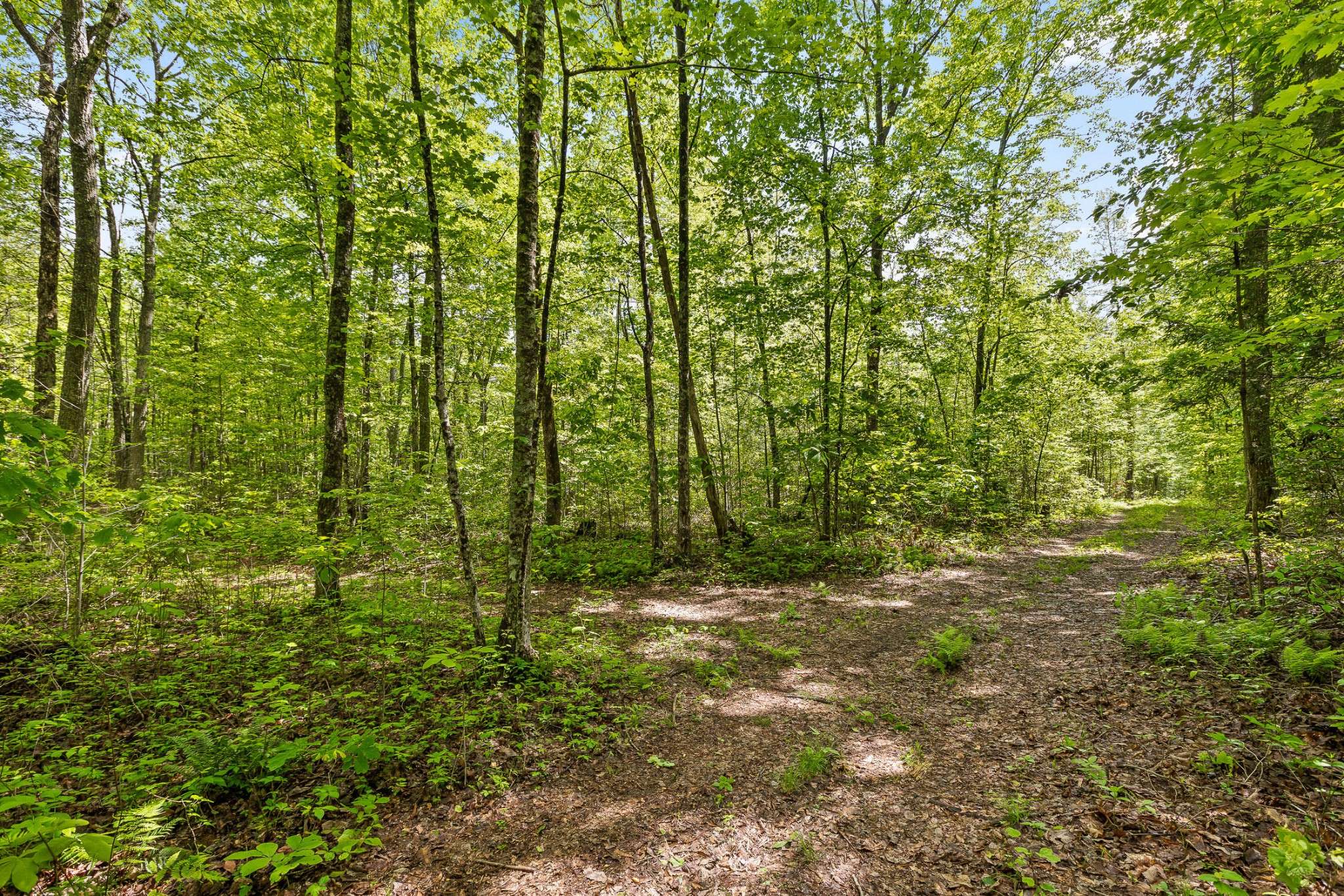 10 Acres Blaine Smith Road, Graysville, TN 37338