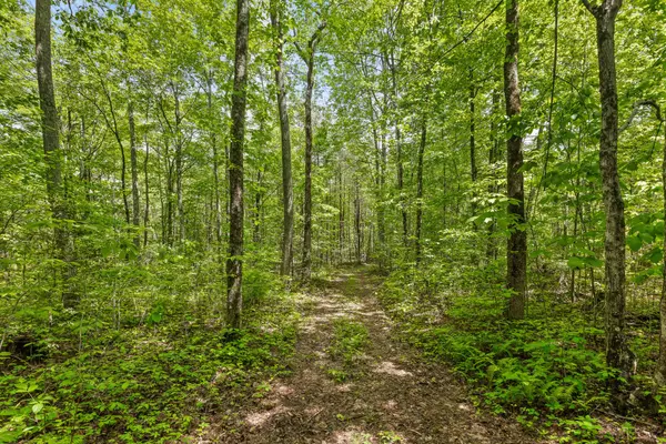 Graysville, TN 37338,10 Acres Blaine Smith Road