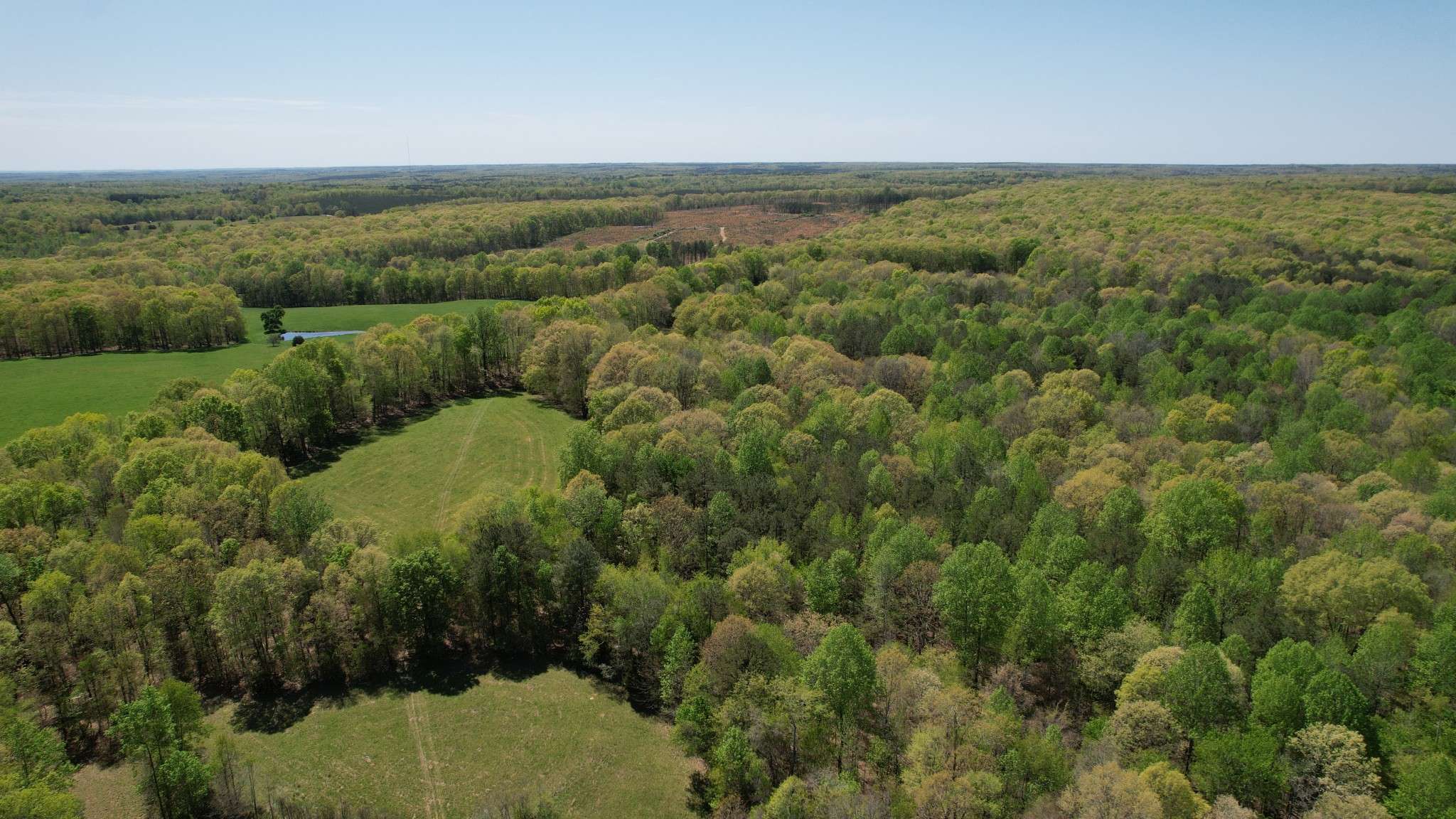 Iron City, TN 38463,1 Scott LN