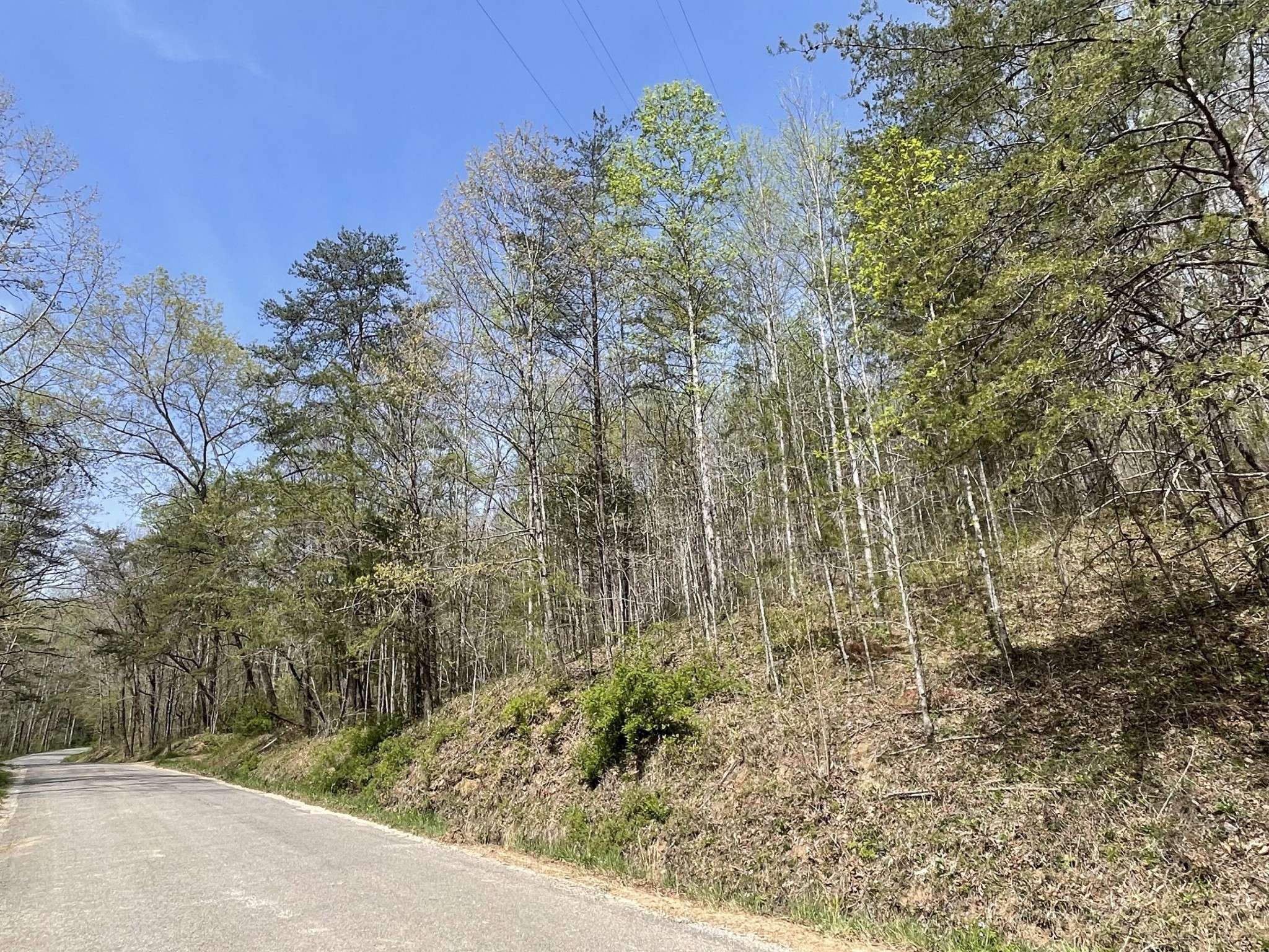 Pikeville, TN 37367,1 Brock Hollow Road