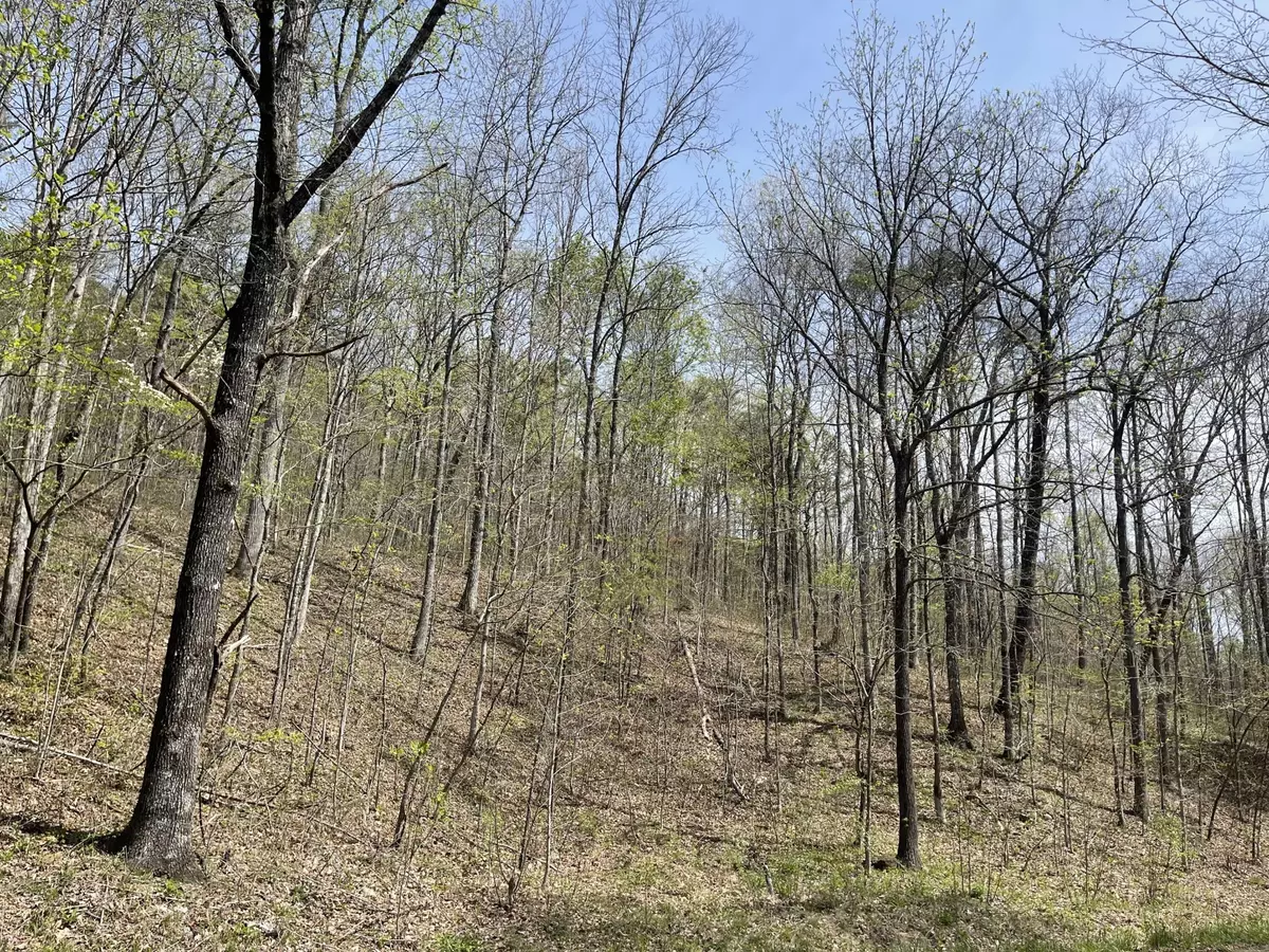 Pikeville, TN 37367,1 Brock Hollow Road