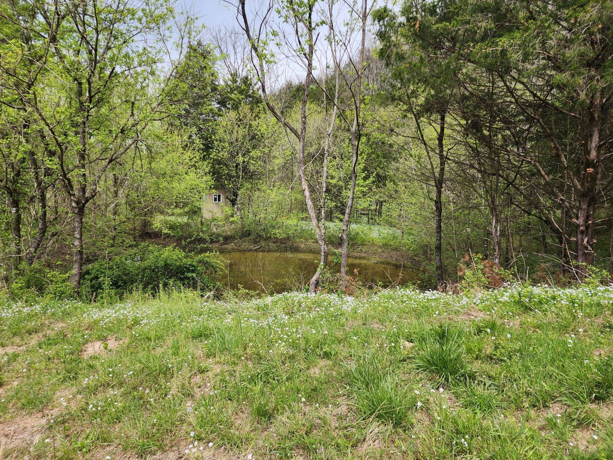 Pleasant Shade, TN 37145,2667 Sycamore Valley Rd