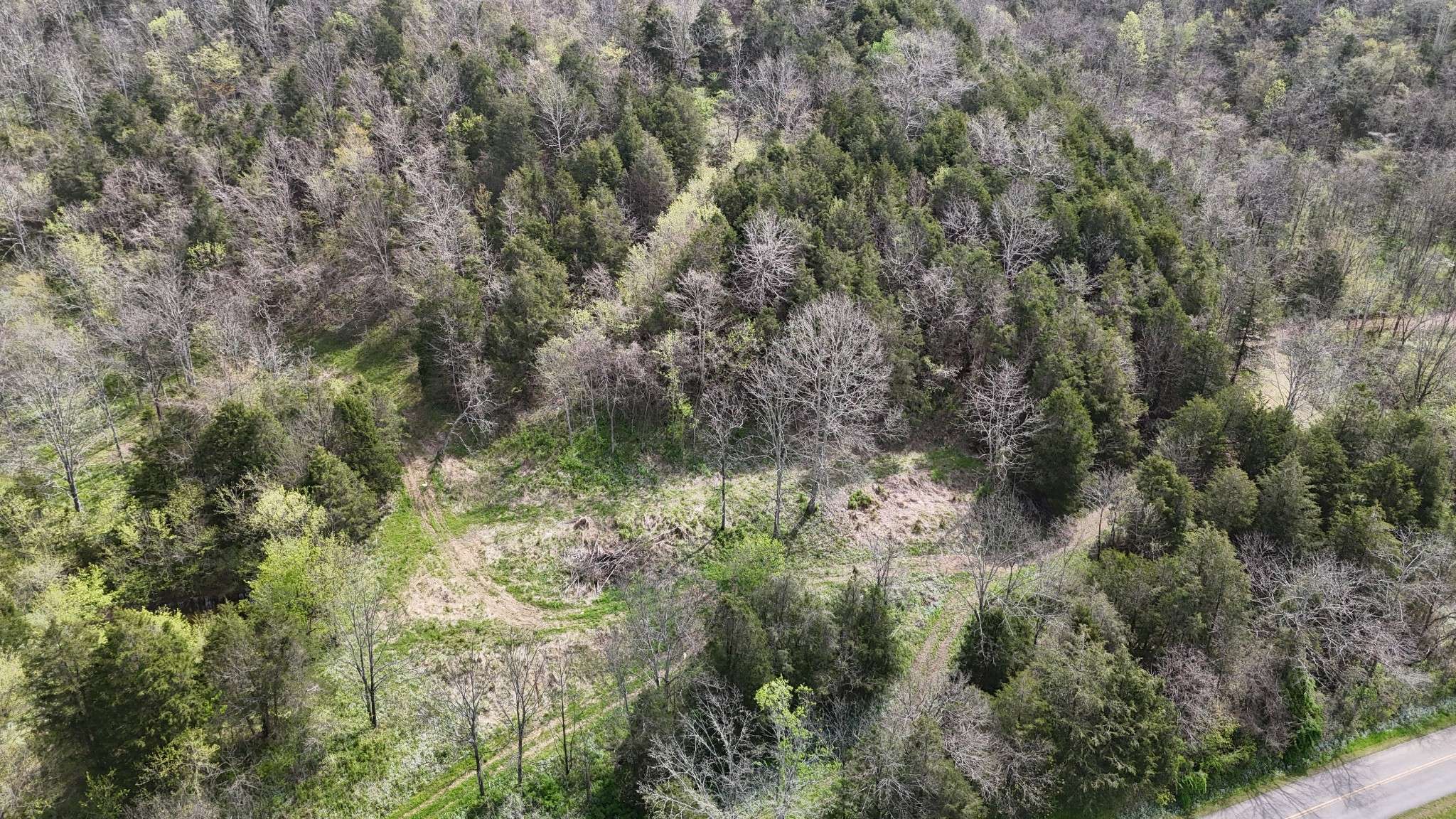 Pleasant Shade, TN 37145,2667 Sycamore Valley Rd