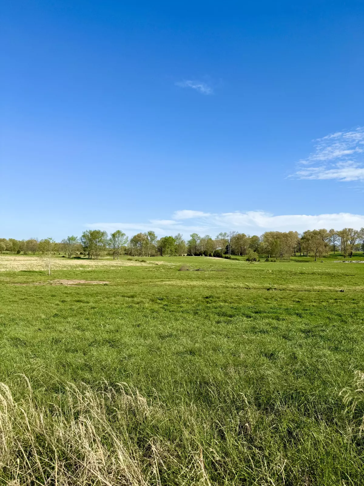 Portland, TN 37148,0 Halltown Rd