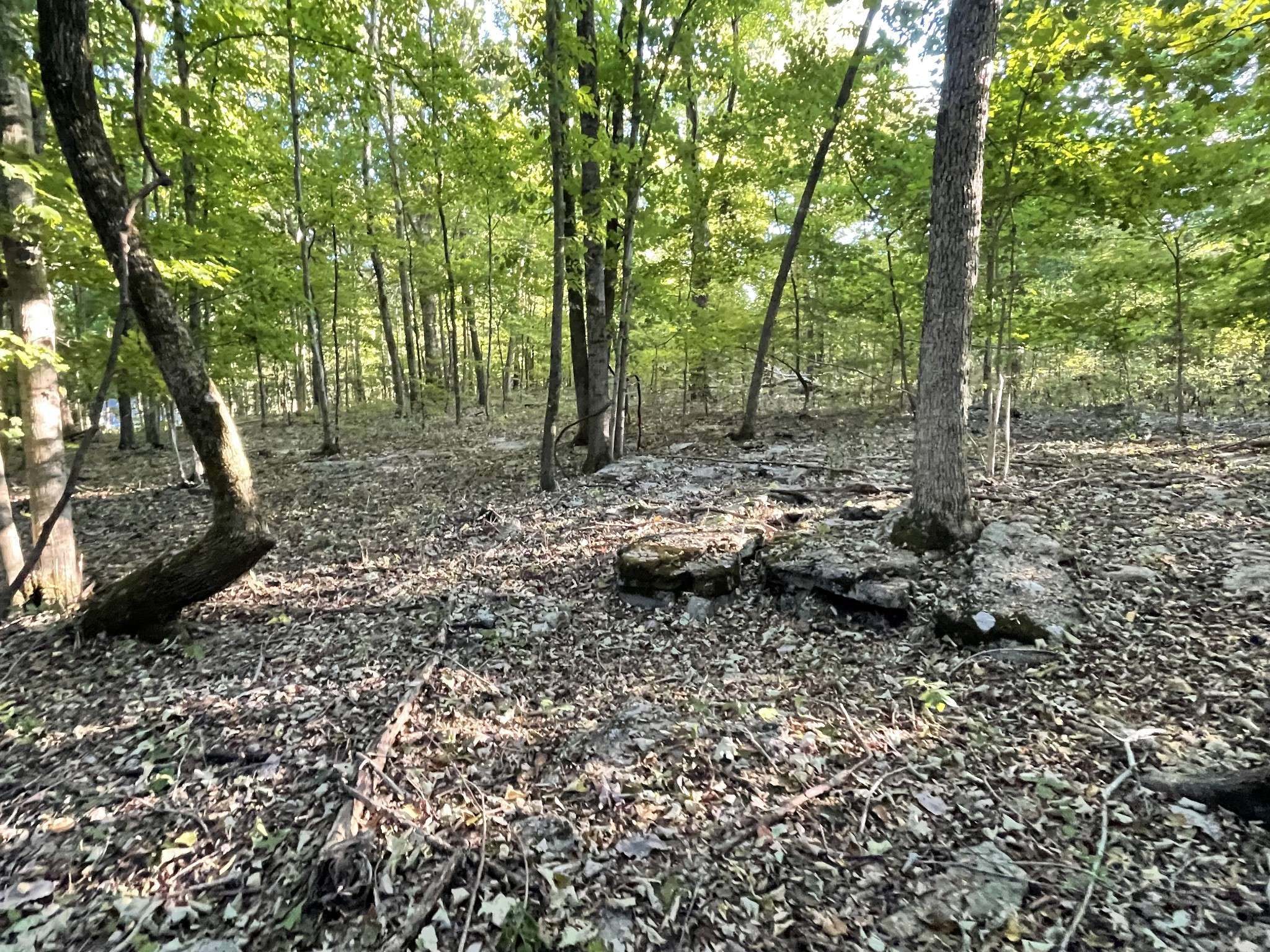 0 Carthage Hwy, Lebanon, TN 37087