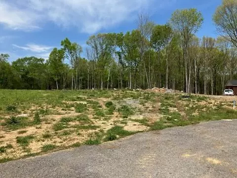 1247 george patterson dr, Murfreesboro, TN 37127