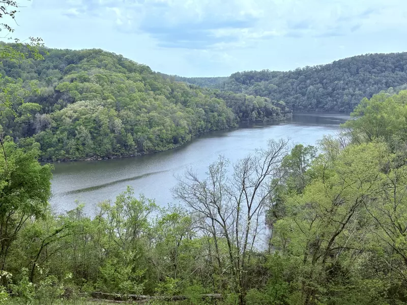 92 Blackberry Ridge Way, Smithville, TN 37166