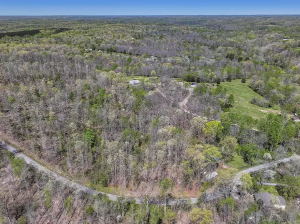 Primm Springs, TN 38476,0 Slaughter Rd