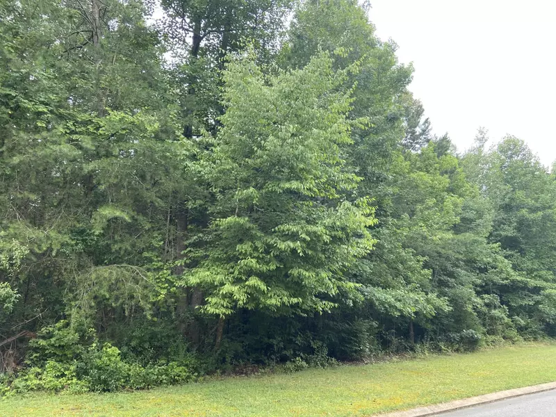 99 Big Cedar Drive, Dunlap, TN 37327