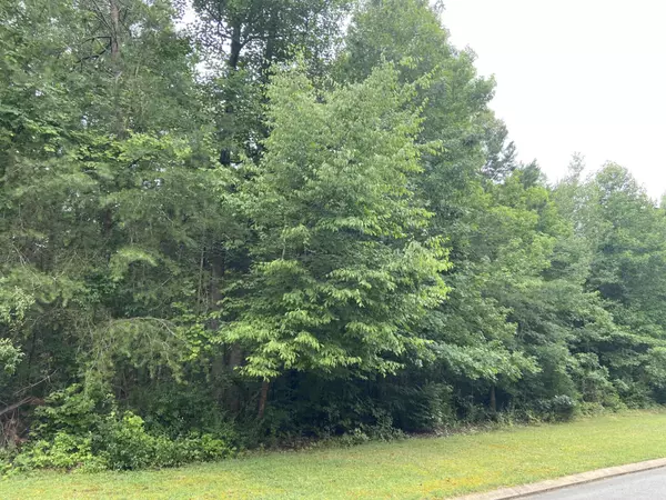 99 Big Cedar Drive,  Dunlap,  TN 37327