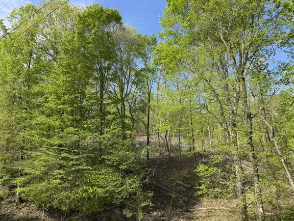 Waynesboro, TN 38485,0 Waynesboro Hwy