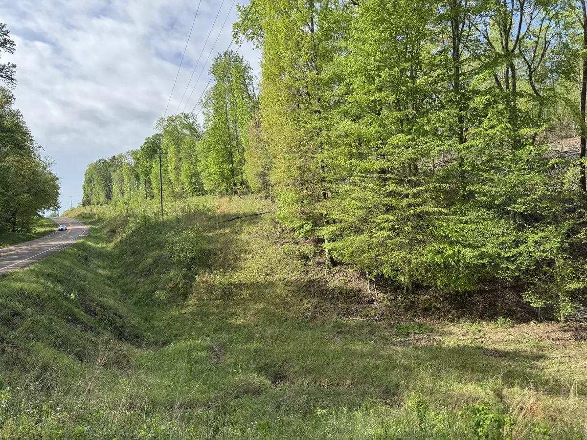 Waynesboro, TN 38485,0 Waynesboro Hwy