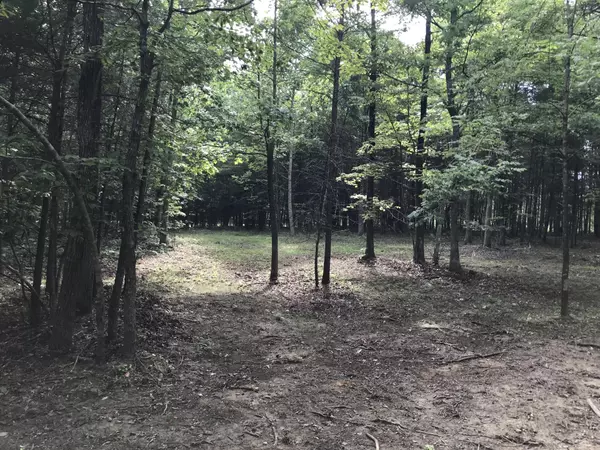 Dunlap, TN 37327,38 Quail Trl