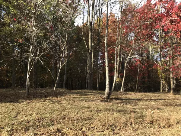 Dunlap, TN 37327,504 Wilderness Way