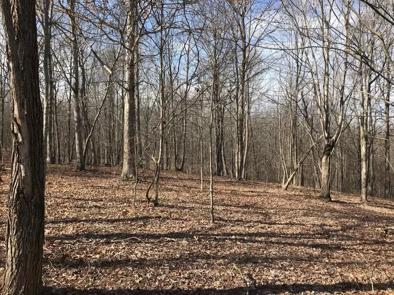 504 Wilderness Way, Dunlap, TN 37327