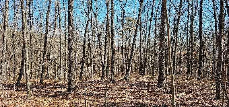 Dunlap, TN 37327,0 Bluff View Dr #W