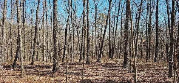 Dunlap, TN 37327,0 Bluff View Dr #W