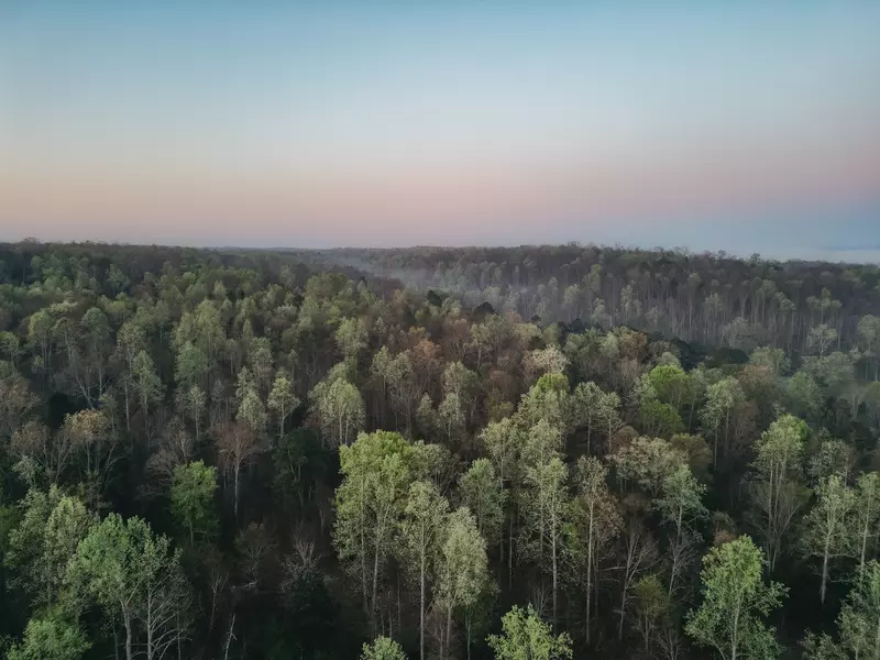 0 Pinewood Rd, Nunnelly, TN 37137
