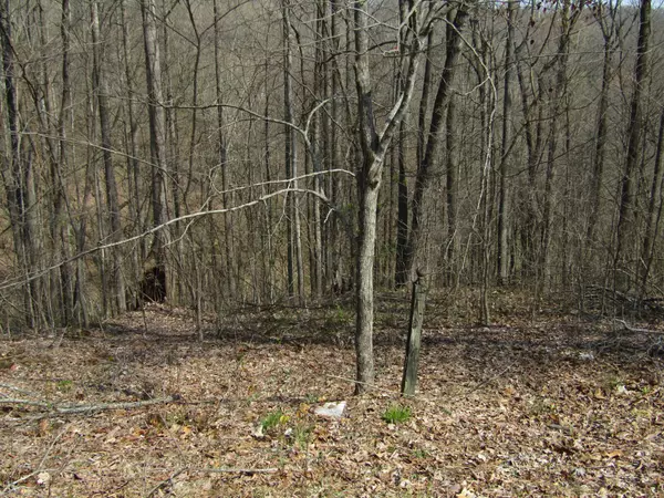 Smithville, TN 37166,0 Hunter S Landing Lane