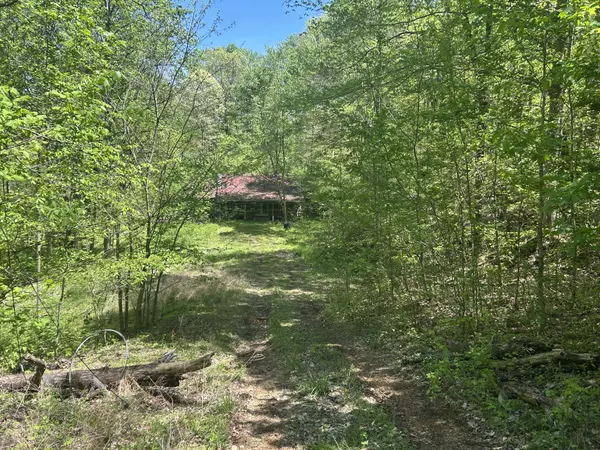 White Bluff, TN 37187,1062 Joslin Branch Rd