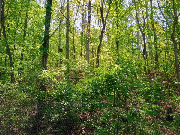 Linden, TN 37096,2790 Deer Creek Rd