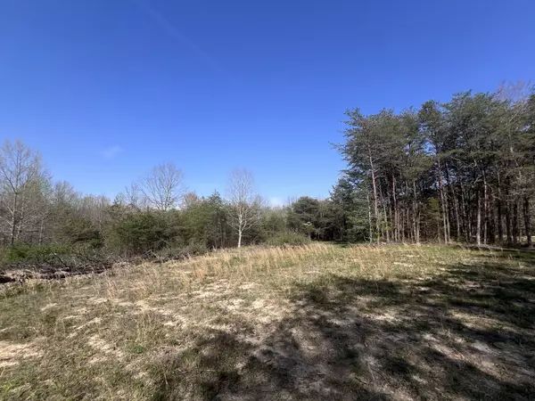 Tracy City, TN 37387,502 Windstone Dr