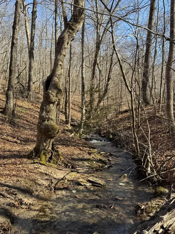 Dunlap, TN 37327,626 Woodland Ridge Road