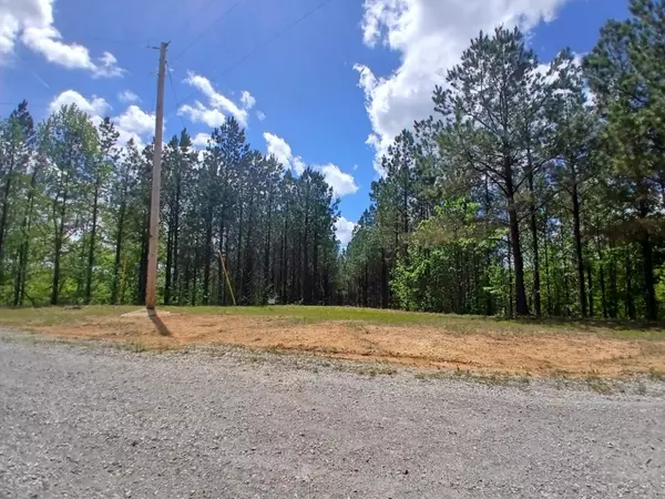 Linden, TN 37096,230 Juniper Dr