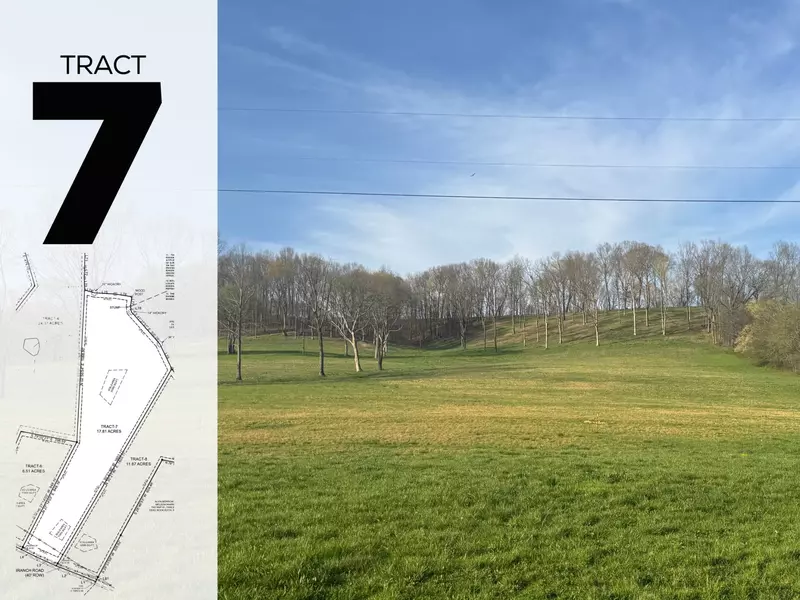0 Love Branch Rd, Hampshire, TN 38461