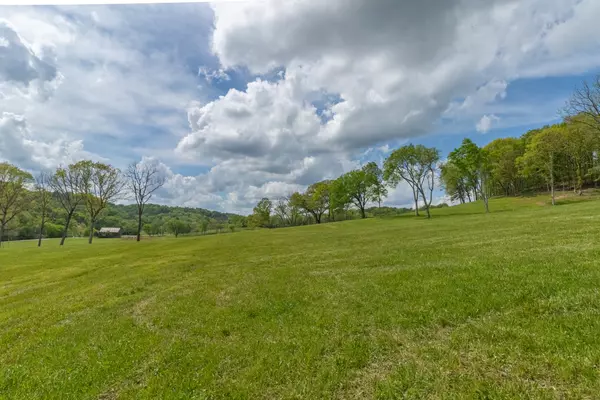 Hampshire, TN 38461,0 Love Branch Rd