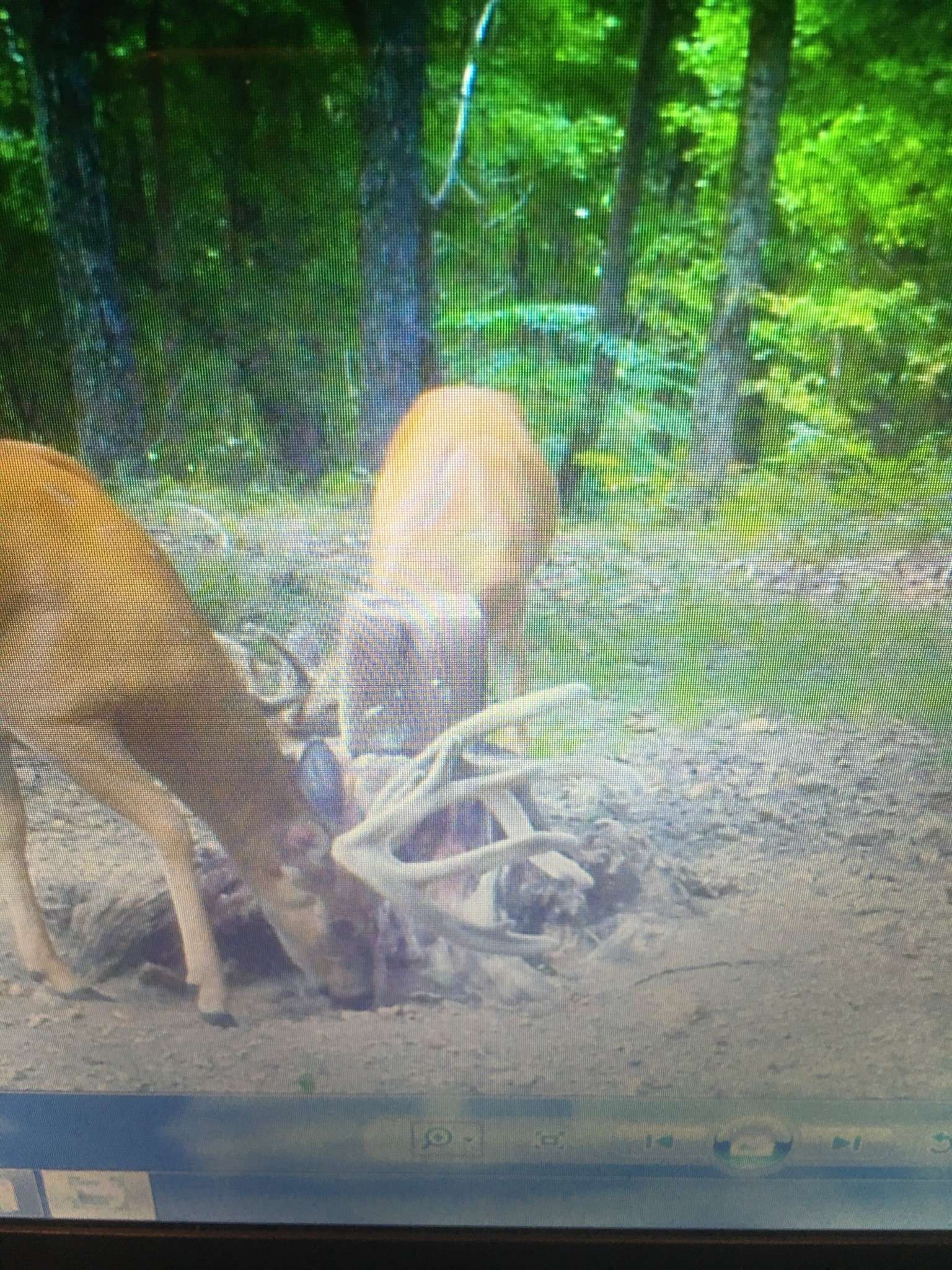 Bradyville, TN 37026,1634 Gilley Hill Rd