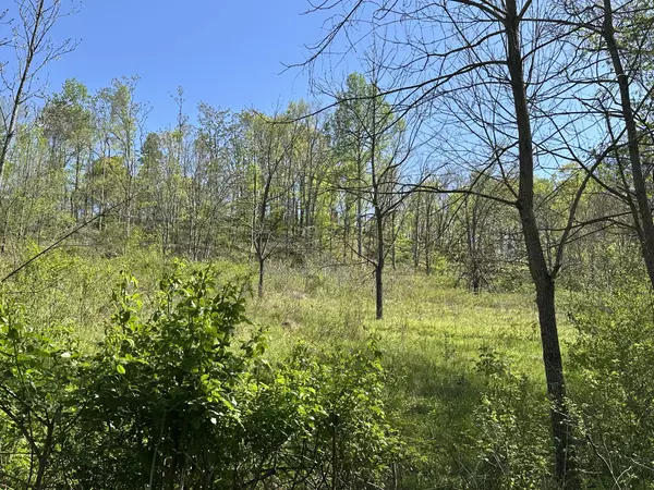 Lynnville, TN 38472,1074A Kersey Hollow Rd