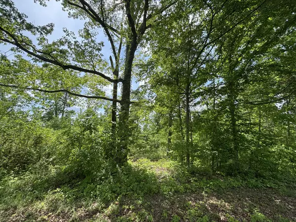 0 Joslin Branch Rd, White Bluff, TN 37187
