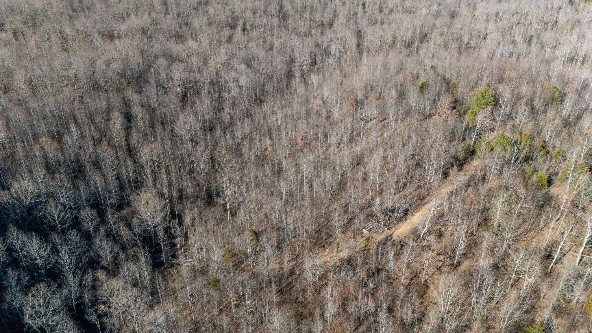 Holladay, TN 38341,0 Coxburg Rd