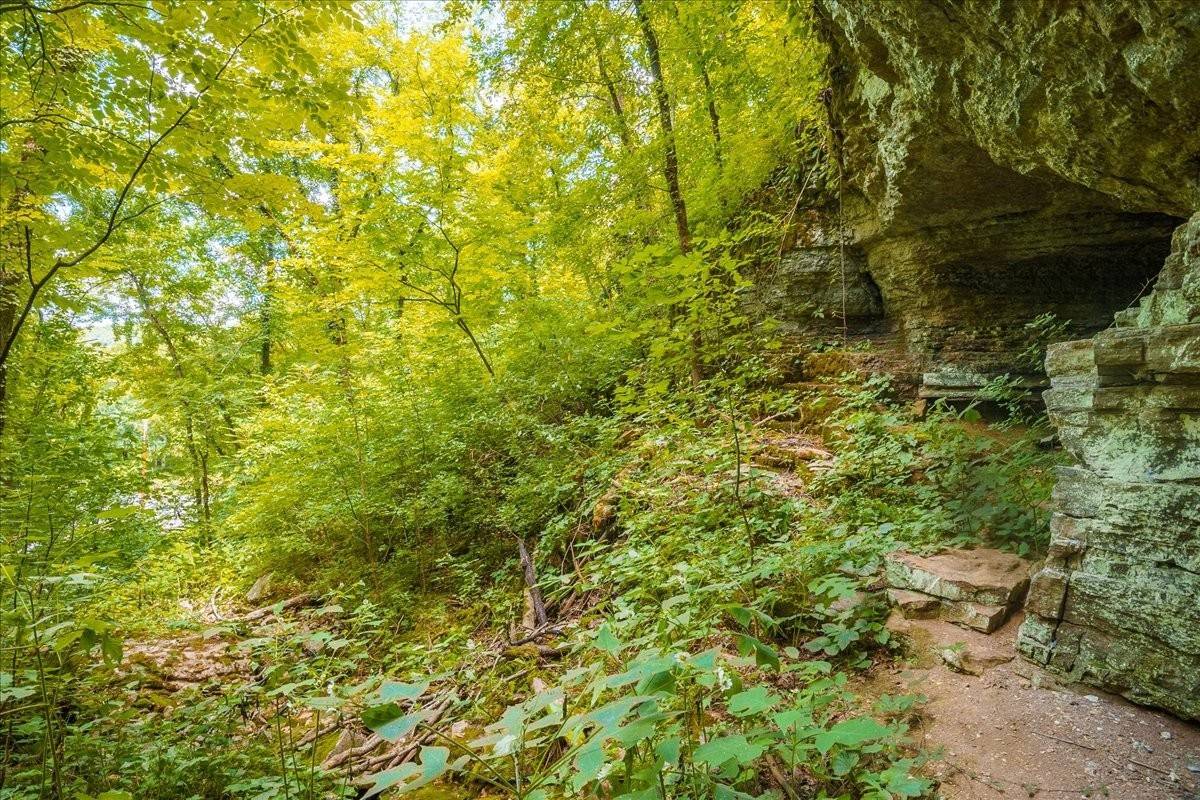 Christiana, TN 37037,0 Burks Hollow Rd