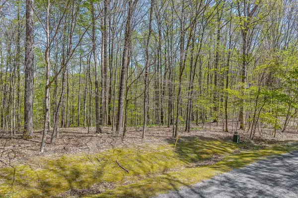 Sparta, TN 38583,29 Poplar Point Rd