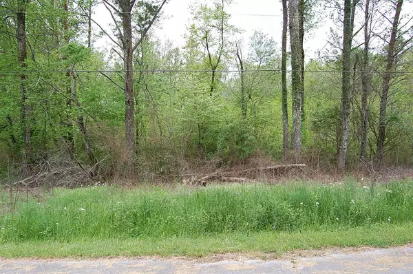 Gruetli Laager, TN 37339,67 51st Avenue