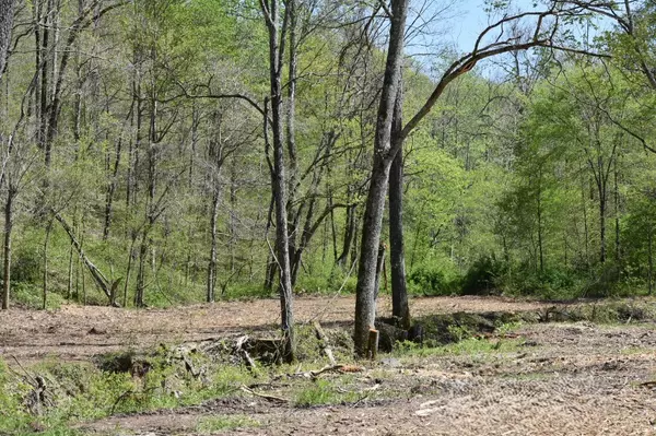 Bon Aqua, TN 37025,0 Buckner Ridge Road