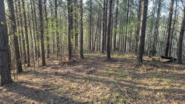 Linden, TN 37096,628 Starlight Dr